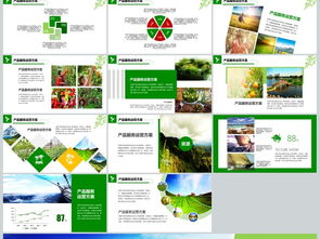 2018年“互联网+农副产品”市场推广企业营销策划案